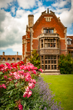 Cambridge-32
