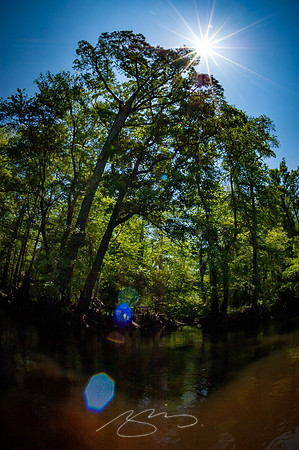 Edisto-River-24