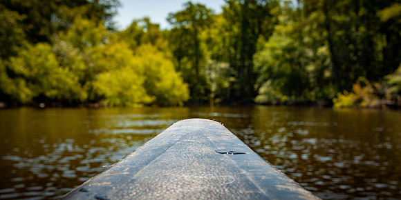 Edisto-River-42