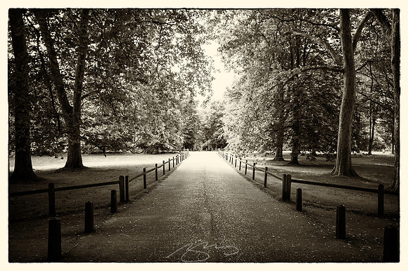 Cambridge-74