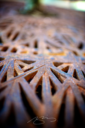 Milledgeville - 2011 - Tree Grate