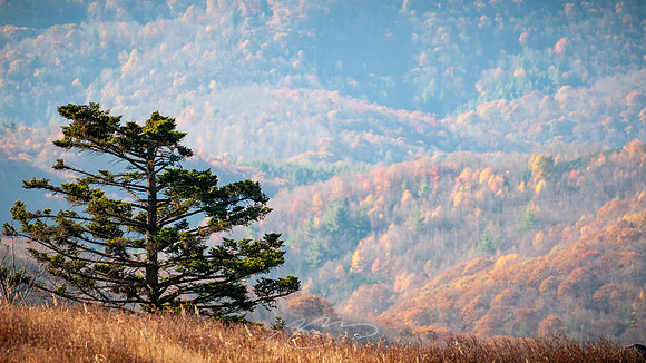 virginia-at-hike-12