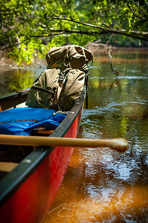 Edisto-River-44