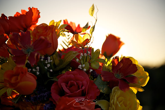 (Fake) Flowers, Glowing