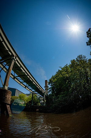 Edisto-River-56
