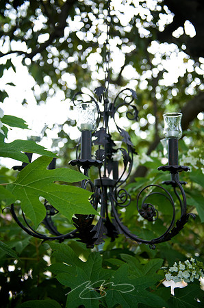 Garden Tour - 964 Park - 5