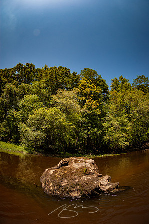Edisto-River-28