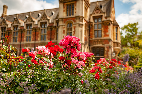 Cambridge-27