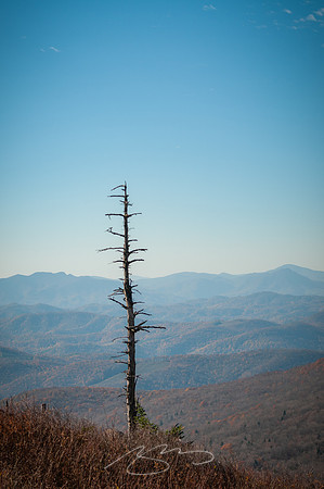 virginia-at-hike-16