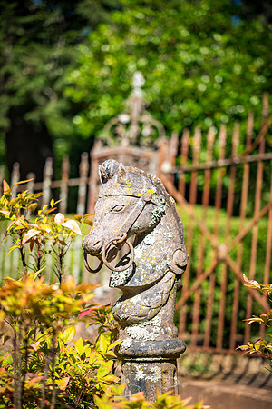 Madison - Jun+Jul 2022 - 30 - Hitch and Fence, 411 Old Post Road
