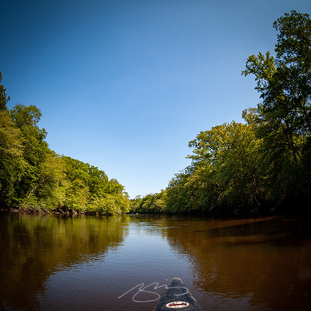 Edisto-River-29