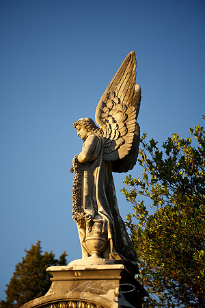 Wings and Angles