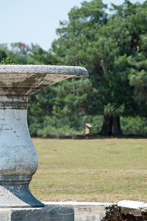 Cumberland Island - Dungeness Ruins 6