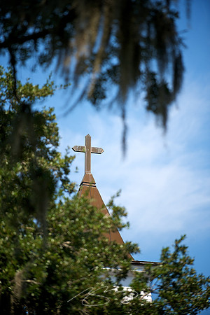 Cross Through the Trees and Moss