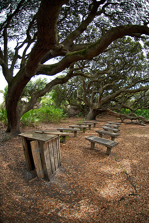 Cumberland Island - Sandy Pulpit