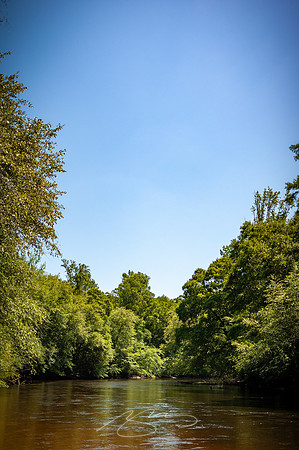 Edisto-River-15