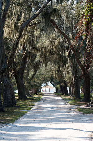 Cumberland Island - Toward Dungeness Docks