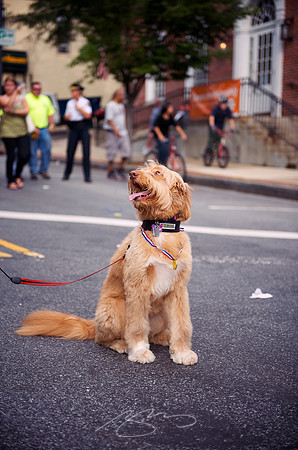 Dobbs Ferry Festa 24