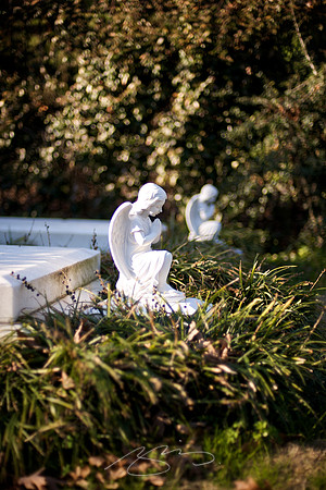 January Afternoon in Rose Hill - 4