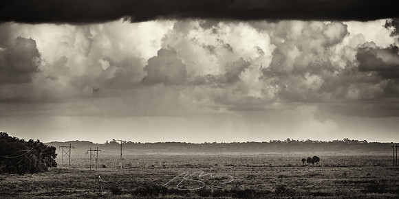 Paynes-Prarie-1