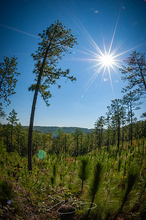 Pinhoti-Sweetwater-Lake-16