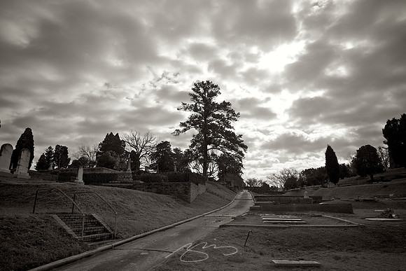Rose Hill Dec 08 - 12