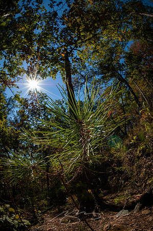 Pinhoti-Sweetwater-Lake-15