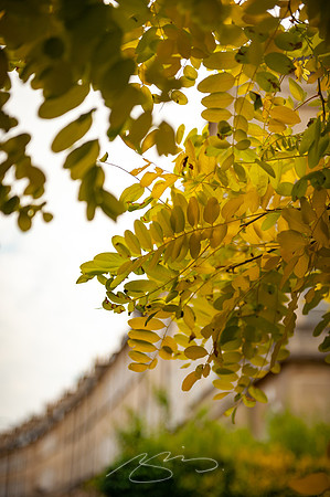Bath-10