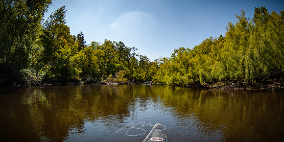Edisto-River-12