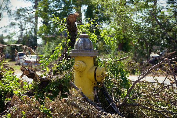 Against the Hydrant