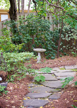 Garden Tour - 954 Park - 6
