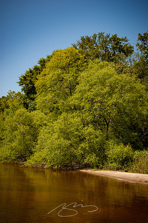 Edisto-River-36