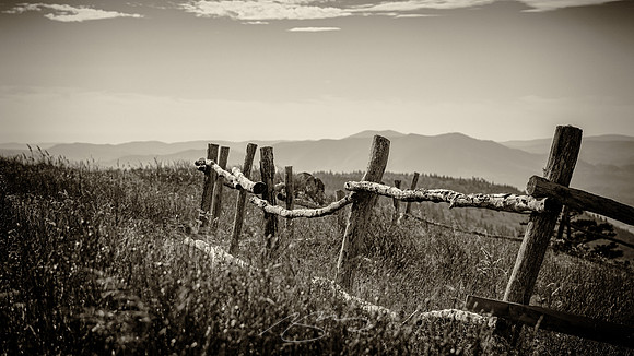 virginia-at-hike-15