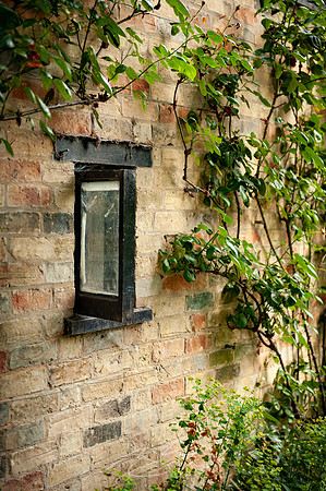 Cambridge-82