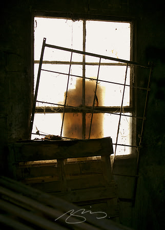 Window (Stuff)