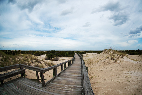 Cumberland Island - Boardwalk