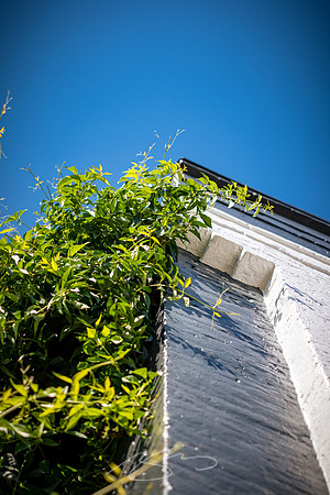 Madison - Jun+Jul 2022 - 87 - Vine and Birck, W. Jefferson St