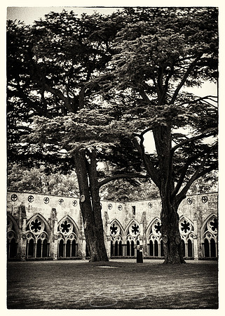Salisbury-14