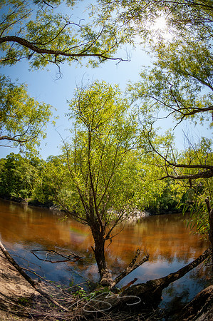 Edisto-River-54