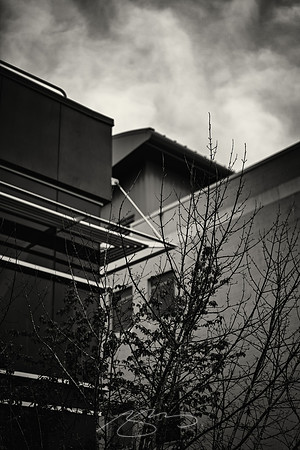 Ithaca-College-13