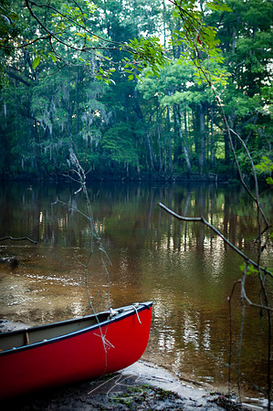 Edisto-River-31