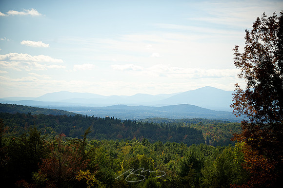 NY- Beautiful Country