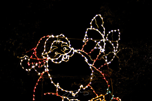 Holiday Lights #3