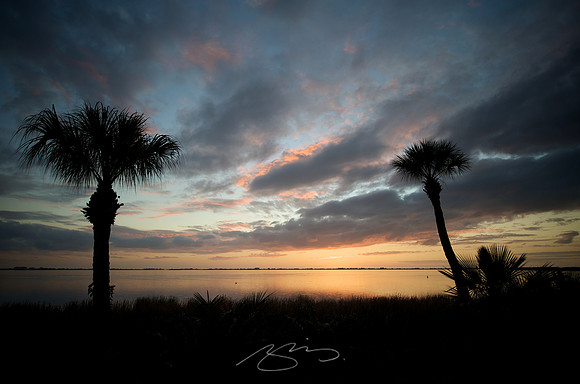 Sunset with Two Palms