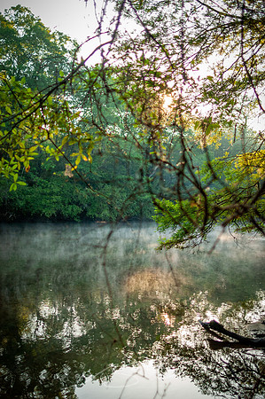 Edisto-River-33