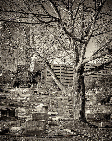 Greenville2020-12