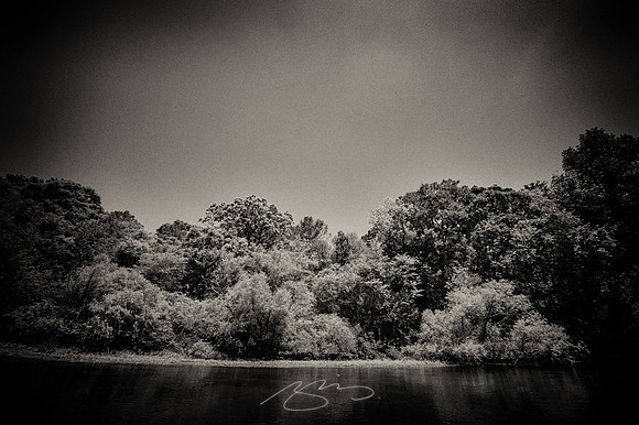 Edisto-River-23